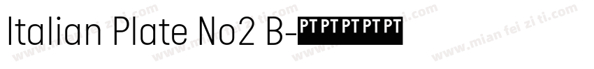 Italian Plate No2 B字体转换